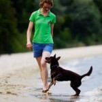 ok. 3 lat, fot. Maciek Kwiatkowski i Paula Gumińska pies i człowiek nad morzem