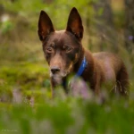 thirteen years old portrait of Raca