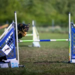 fot. Natalia Karpińska Tammi nad hopką